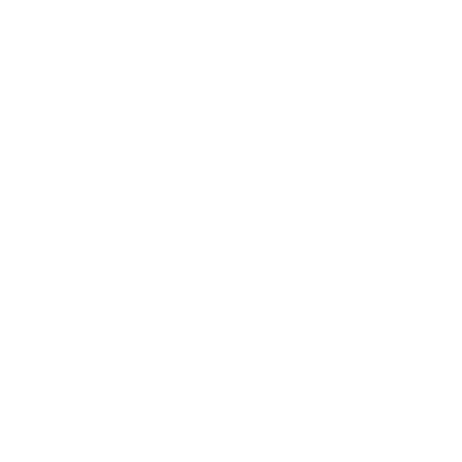 Seeing Machines logo